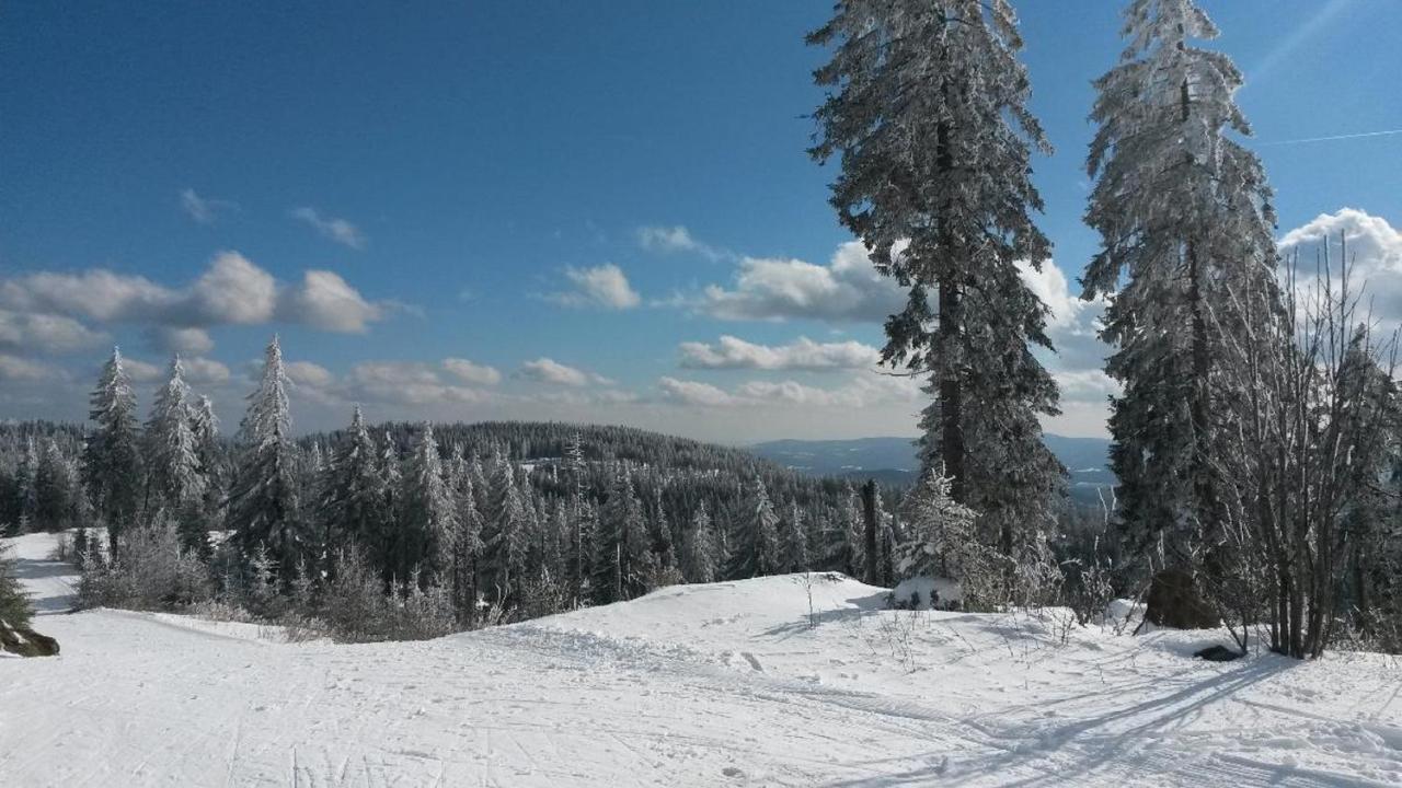 Ferienpension Fremuth Ruhmannsfelden Luaran gambar